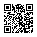 迷你世界雨林版本