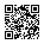 堕落姬甲国际版