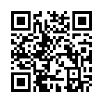 城市救援模拟2破解版