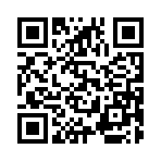 赛车手的一天最新版