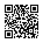 荒野大镖客模拟器