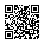 逃出神秘森林中文版