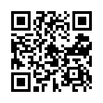 不道德的伊利莎完美修复版