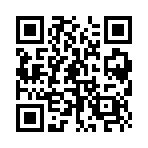 女电视人模拟器