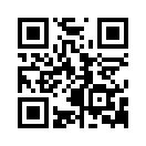 兔子大冒险手游联机版