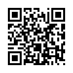 天羽之诗最新版