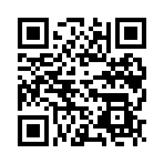 赛车经理4官方版