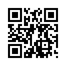 火影战机千木模组