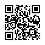 战争团体中文版