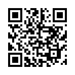 反击间谍中文版