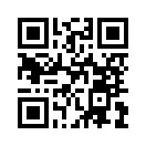 边境巡查官中文版