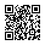 小小盗贼破解版