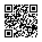 宠物小宝贝钻石