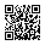 水豚跑酷大冒险