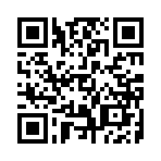 影子战斗2破解版