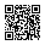 洪观新闻客户端