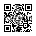 波波知了安卓版