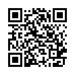 野兽派对联机版