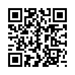 掌上迪车记App安卓版