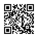 口袋妖怪永夜手机版