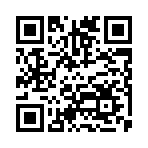 布丁UI车机壁纸app官方版