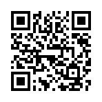 口袋妖怪rogue手机版