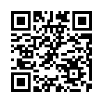 幸存者传染病游戏官方版