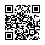 口袋妖怪绿宝石之冰龙的愤怒金手指版