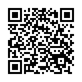 天天码字官方版