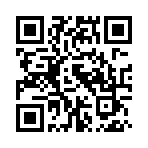 智能网办系统手机版