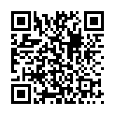 沙雕模拟器乍得版本