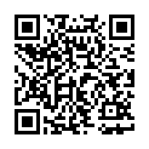 玩具合集模拟器