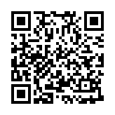 荣耀设备连接服务