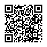 x站抗日版中文版