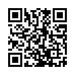 口袋故事免费版