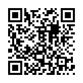 影探运输车定制版