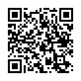 黑猴子篮球汉化版