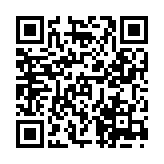 会说话的毛绒熊