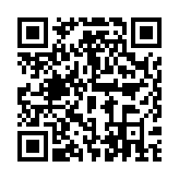 水墨先生八字排盘