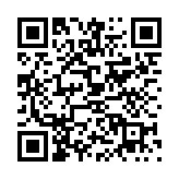 会说话的毛绒熊