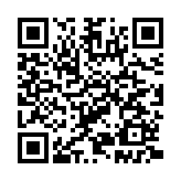 精英打工人免广告GM菜单