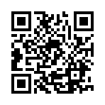 荣耀系统共享服务