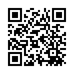 空洞骑士丝之歌