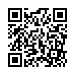 我的玩具发泄铺