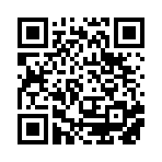 东北雨姐语音盒子