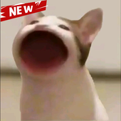 Pop猫壁纸app官方版...