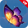 蝴蝶影院电视盒子App