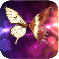 雨蝶直播视频免费版