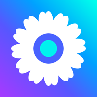 混沌小工菊app官方版