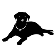 黑狗TV电视盒子版